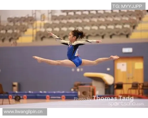 竞技体操评分体系的演变与影响因素分析探讨